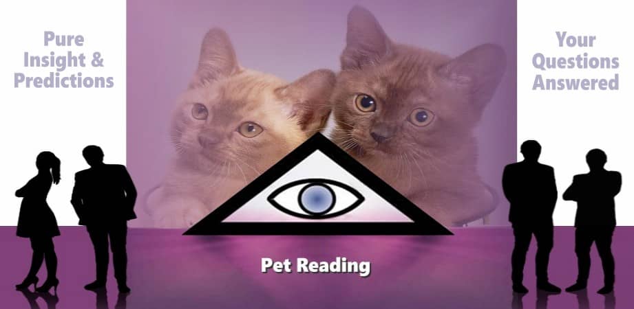 pet reading mobile
