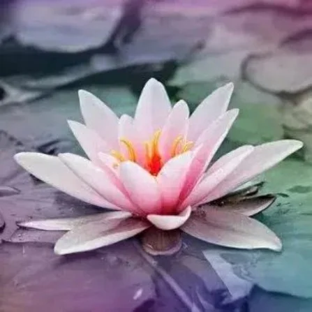 Mini Email Psychic Reading